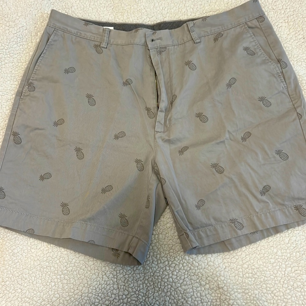 Amazon Essentials Mens khaki shorts inseam 9 inch Mens shorts. Pineapple print